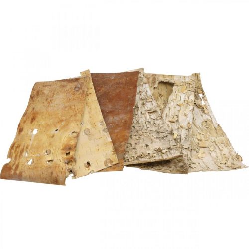 Floristik24 Kora drzewa ozdobne paski z kory naturalnej kora brzozowa 30×12cm 6 szt