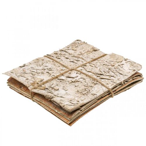 Floristik24 Kora drzewa Kora dekoracyjna kwadratowa Kora brzozy naturalna 20×20cm 6 szt