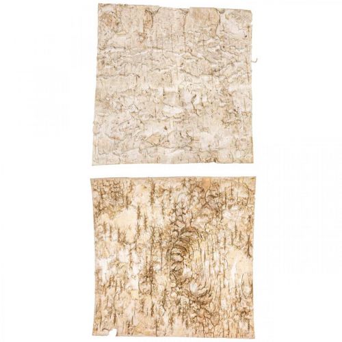 Floristik24 Kora drzewa Kora dekoracyjna kwadratowa Kora brzozy naturalna 20×20cm 6 szt