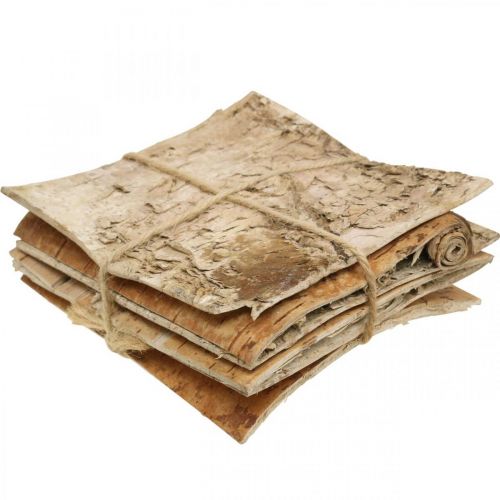 Floristik24 Kora drzewa Kora dekoracyjna kwadratowa Kora brzozy naturalna 10×10cm 6 szt