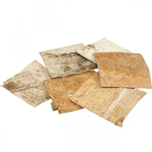 Floristik24 Kora drzewa Kora dekoracyjna kwadratowa Kora brzozy naturalna 10×10cm 6 szt