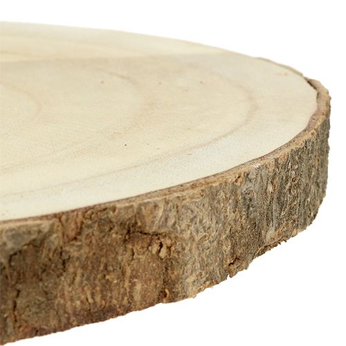 Floristik24 Plaster na drzewo natura Ø20cm - 30cm