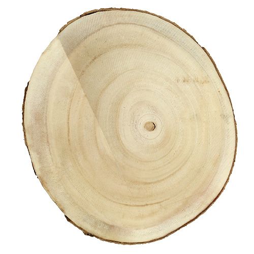 Floristik24 Plaster na drzewo natura Ø20cm - 30cm