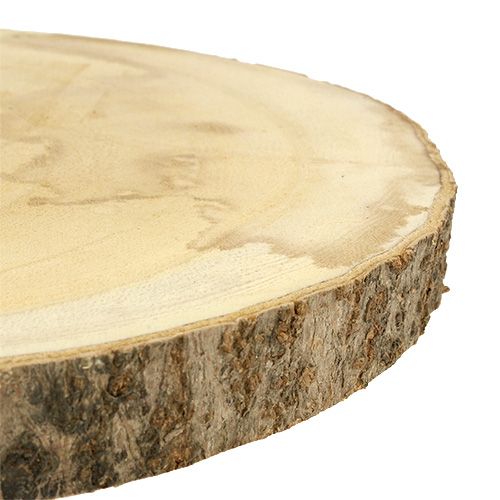 Floristik24 Plaster na drzewo Ø30cm - 35cm natura