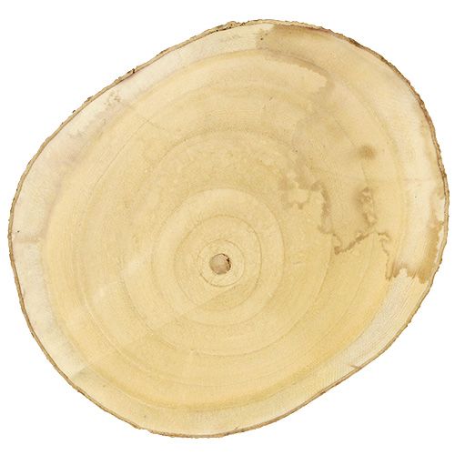Floristik24 Plaster na drzewo Ø30cm - 35cm natura