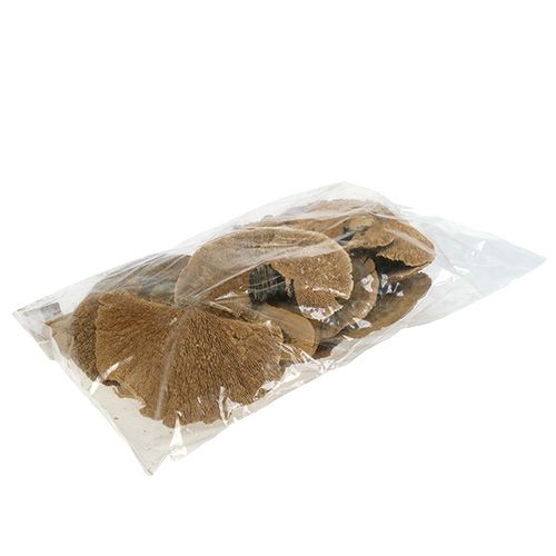Floristik24 Gąbka drzewna natura 500g