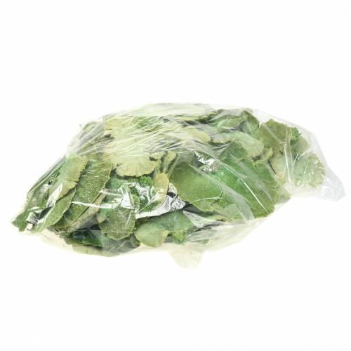 Produkt Gąbka drzewiasta zielona biała myta 1kg