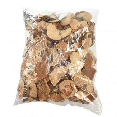 Floristik24 Gąbka drzewna mała naturalna dekoracja z grzybów drzewnych 4-6cm 1kg