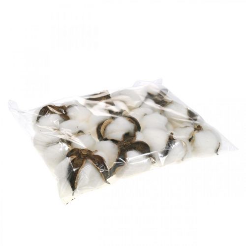 Produkt Ozdoba kwiat bawełny suszona bawełna naturalna dekoracja Ø6cm 12 szt