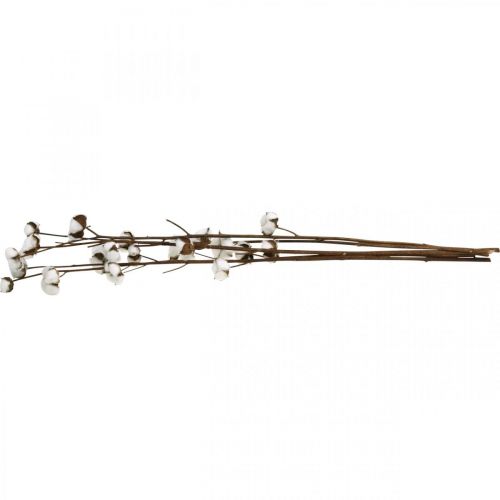 Produkt Gałązka bawełniana, gałązka ozdobna bawełniana, prawdziwa bawełna L80cm 5 sztuk