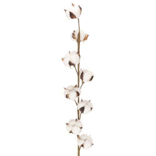 Sztuczna gałązka bawełny z 8 prawdziwymi kwiatami, 78 cm