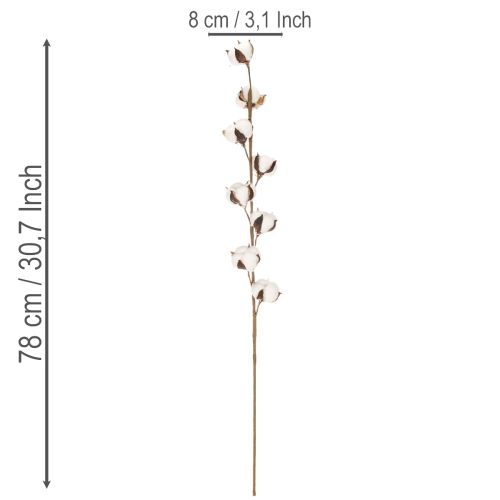 Sztuczna gałązka bawełny z 8 prawdziwymi kwiatami, 78 cm | Floristik24.pl