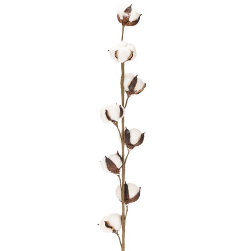 Sztuczna gałązka bawełny z 8 prawdziwymi kwiatami, 78 cm | Floristik24.pl