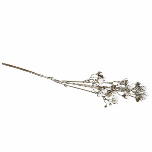 Floristik24 Gałązka bawełniana lukrowana 47cm