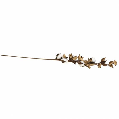 Floristik24 Gałązka bawełniana 75cm