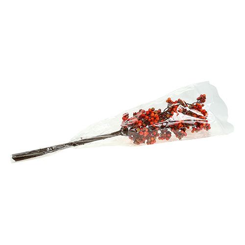 Floristik24 Gałązka jagodowa pomarańczowa L50cm 4szt.
