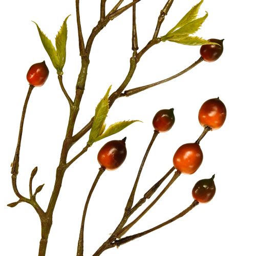 Floristik24 Gałązka jagodowa czerwona sztuczna sztuczna gałąź deco gałąź 82cm