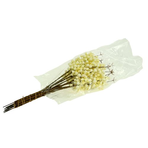 Produkt Gałązka jagodowa krem L30cm 12szt.