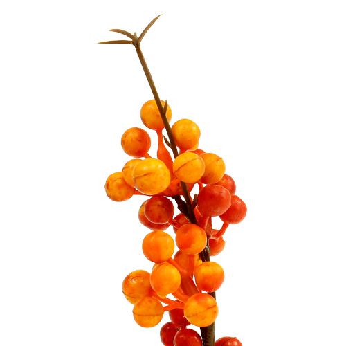 Floristik24 Gałązka jagodowa pomarańczowa L 30cm 12szt