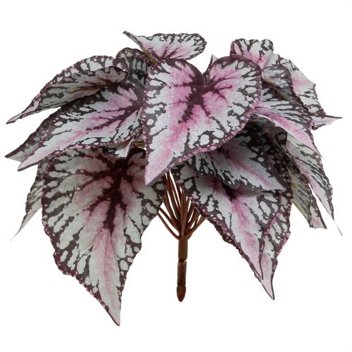 Floristik24 Sztuczny krzew begonii Bordeaux 37cm