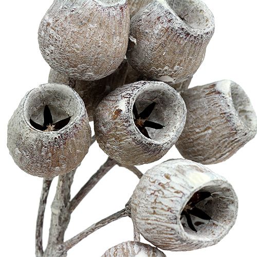 Produkt Gałąź Bellgum z 5-7 białymi owocami 20 szt