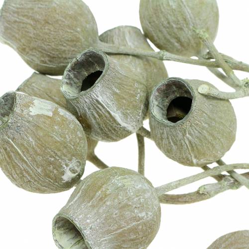 Produkt Gałązka Bellgum 5cm - 7cm zielona matowa 20 szt