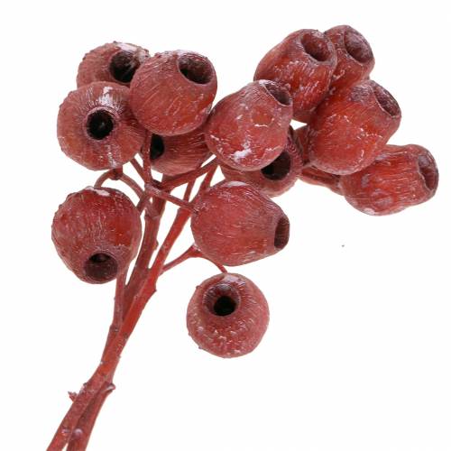 Produkt Gałązka Bellgum 5cm - 7cm czerwona matowa 20 szt