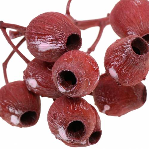 Produkt Gałązka Bellgum 5cm - 7cm czerwona matowa 20 szt