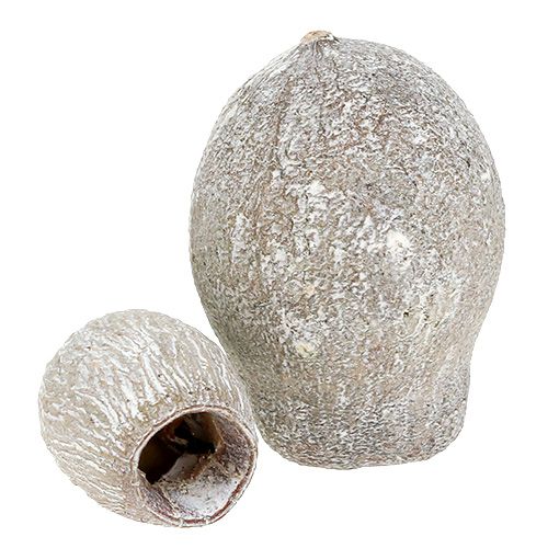 Produkt Bellgumy bielone 2cm - 5cm 500g