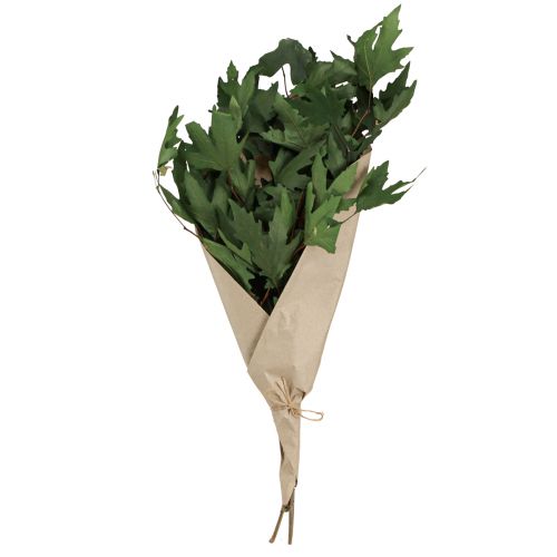 Produkt Gałązki jaworu liście dekoracyjne liście klonu zielone 50-60cm 100g