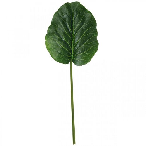 Produkt Sztuczna zielona roślina Bergenia Zielona sztuczna roślina 53cm