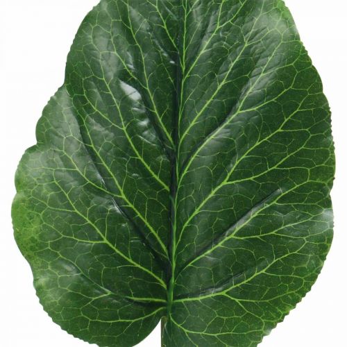 Produkt Sztuczna zielona roślina Bergenia Zielona sztuczna roślina 53cm