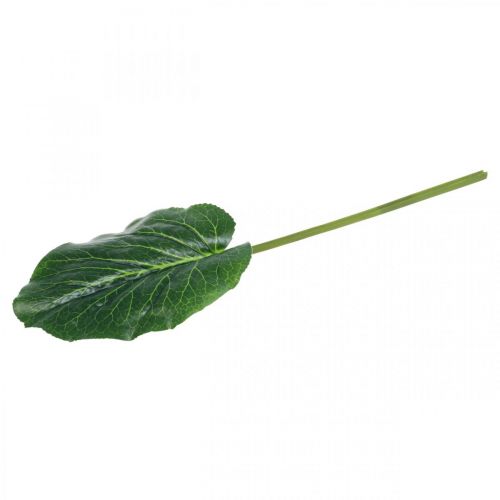 Produkt Sztuczna zielona roślina Bergenia Zielona sztuczna roślina 53cm