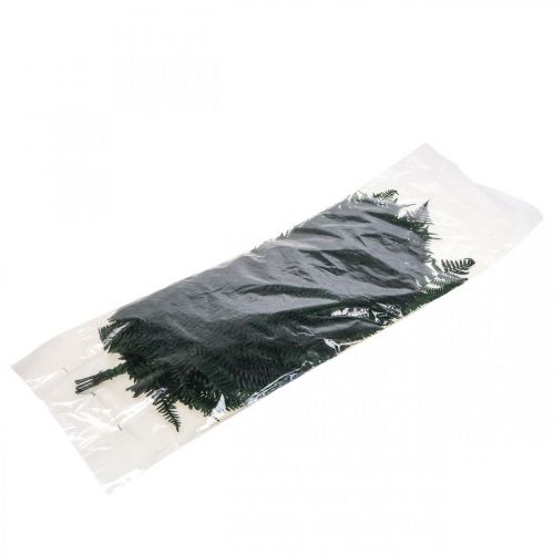 Produkt Paproć górska paproć ozdobna konserwowane liście paproci zielone 45cm 20 szt