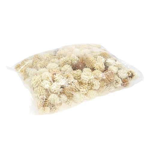Floristik24 Szyszki małe bielone 3,5-5cm 1kg