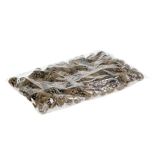 Floristik24 Szyszki sosny górskiej Szyszki sosny 2kg