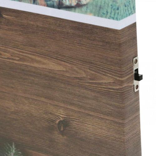 Floristik24 Fototapeta LED Świąteczna Brązowa Dekoracja LED 38×38cm Na Baterię