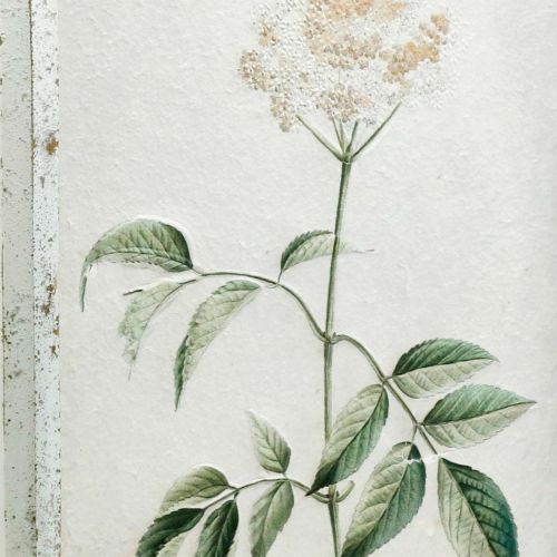 Floristik24 Obrazek z drewnianą ramą shabby chic, dekoracja ścienna z kwiatów 40×50cm