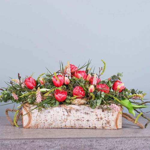 Floristik24 Brzozowa skrzynka na rośliny z uchwytami z liny 38x16cm W9cm