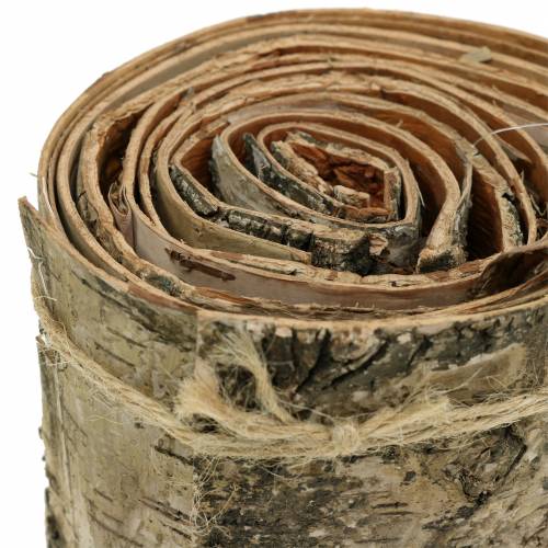 Floristik24 Wstążka z kory brzozowej naturalna dł.2m szer.10cm