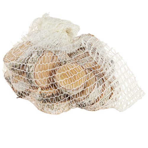 Produkt Plastry brzozy z korą bieloną plastry drzewa Ø5-6cm 24 szt