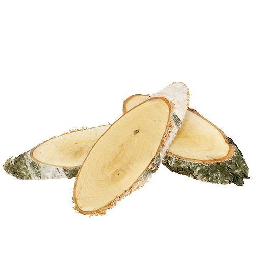 Floristik24 Krążki brzozowe owalne krążki z naturalnego drewna dekoracja 18-22cm 10 sztuk