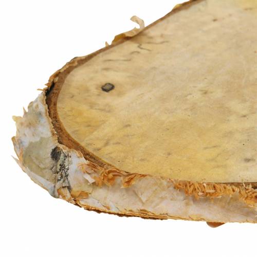 Floristik24 Krążki drewniane brzozowe owalne natura 7,5×13cm 1kg