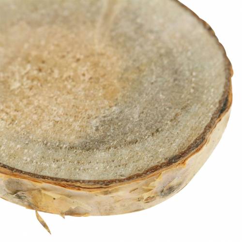 Floristik24 Plastry brzozy okrągłe naturalne 5cm 1kg do dekoracji z korą
