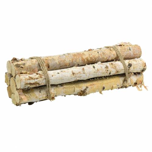 Floristik24 Gałązki brzozowe wiązane Nature 40cm