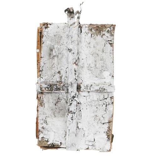 Floristik24 Plastry kory 20cm x 12cm białe, umyte 8 szt