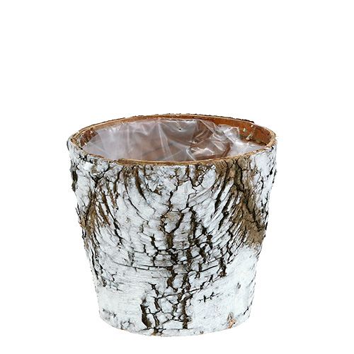 Brzozowa doniczka mała brzoza biała Ø10cm W8,5cm 6 szt