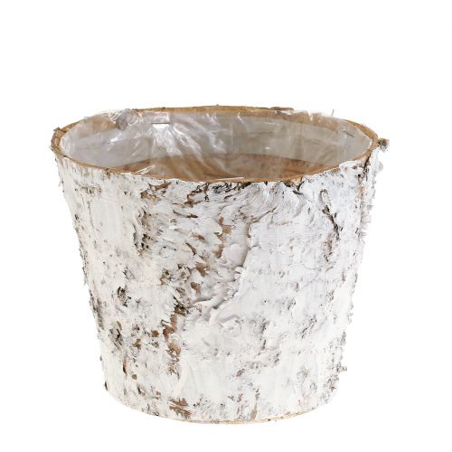 Produkt Doniczka z bieloną korą brzozową donica Ø15cm W12,5cm 3 szt