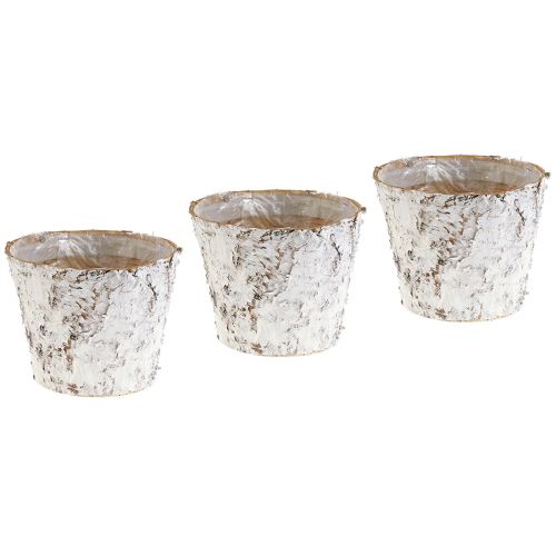 Floristik24 Doniczka z bieloną korą brzozową donica Ø15cm W12,5cm 3 szt