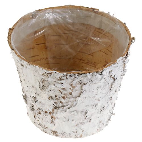 Produkt Doniczka z bieloną korą brzozową donica Ø15cm W12,5cm 3 szt